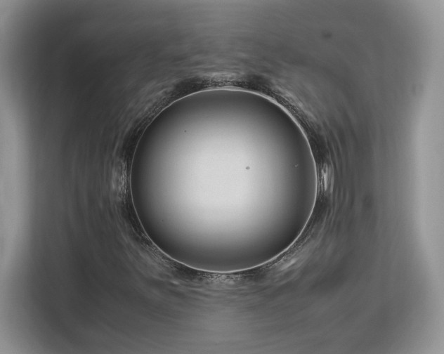 X0000113091251200908281236
