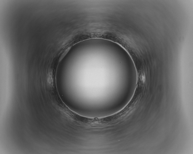 X0000113091252200908281236