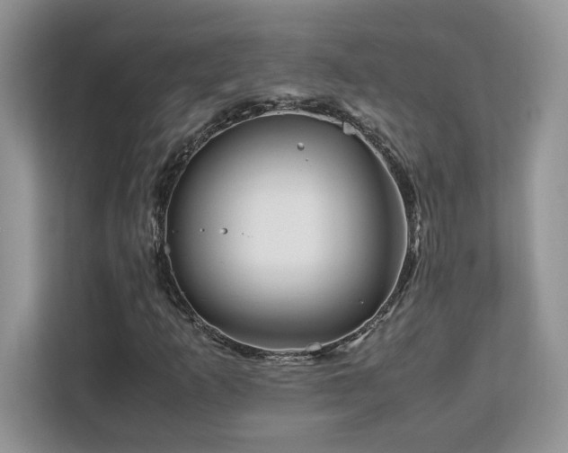 X0000113091253200908281236