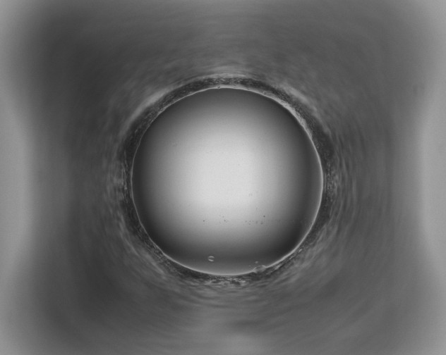 X0000113091255200908281236