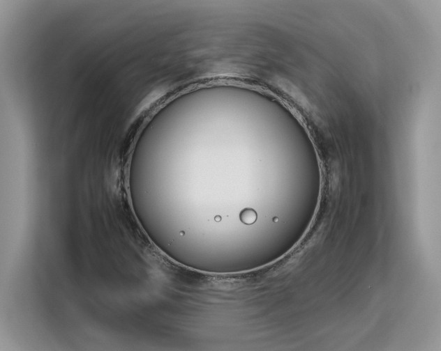 X0000113091258200908281236