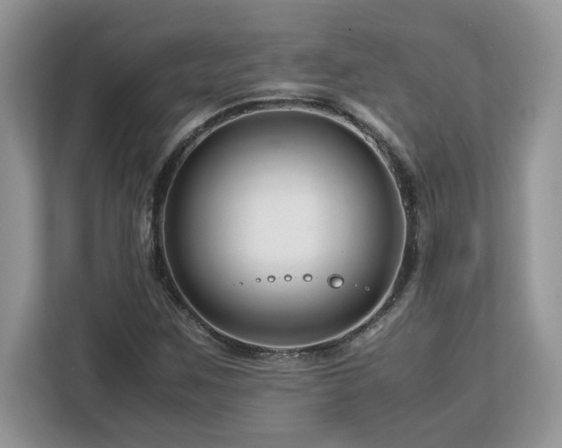 X0000113091259200908281236