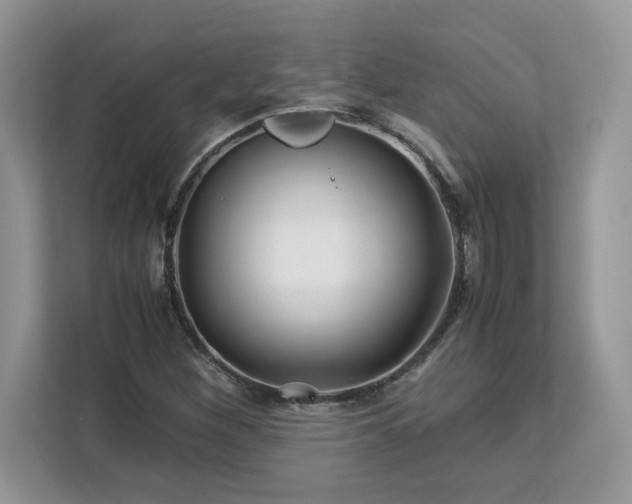 X0000113091260200908281236