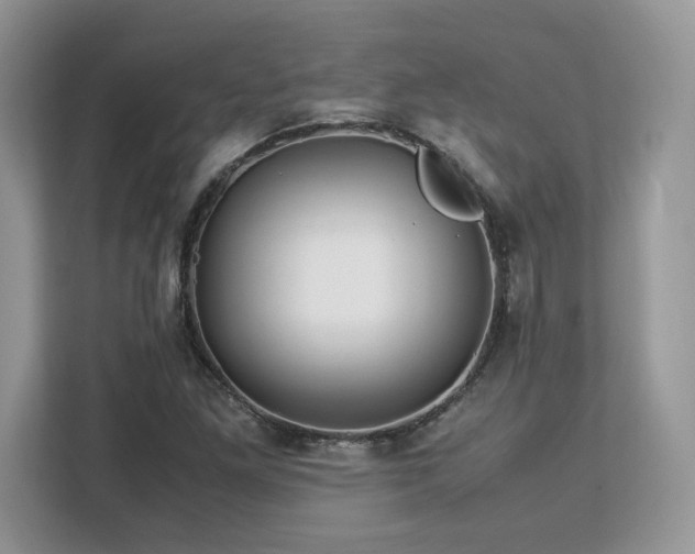 X0000113091261200908281236