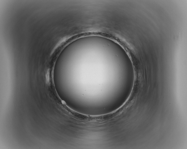 X0000113091262200908281236