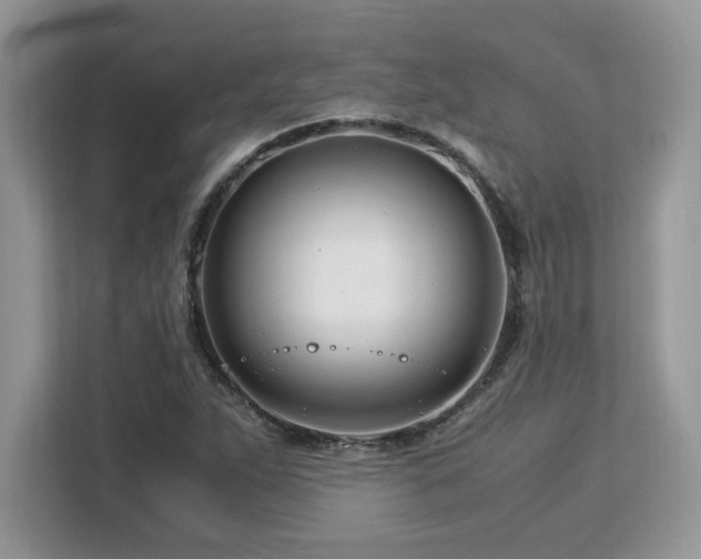 X0000113091263200908281236