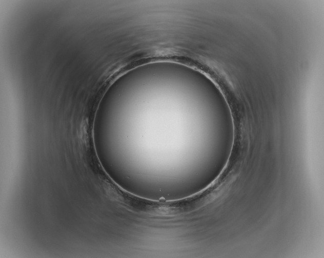 X0000113091265200908281236