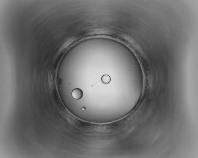 X0000113091266200908281236