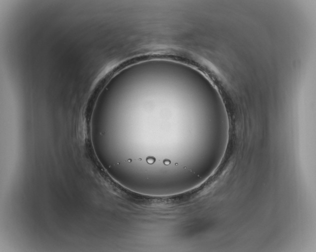 X0000113091267200908281236