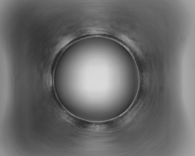 X0000113091269200908281236