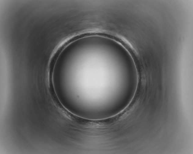 X0000113091270200908281236