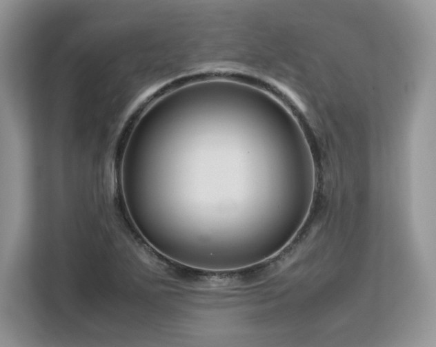 X0000113091271200908281236