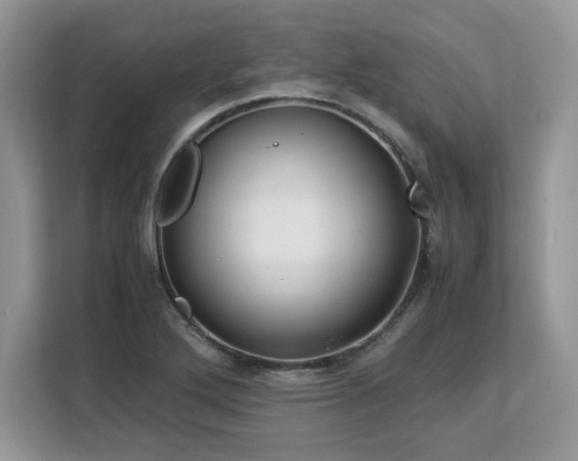 X0000113091272200908281236