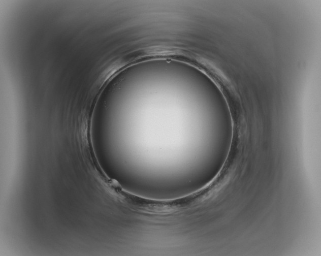 X0000113091273200908281236