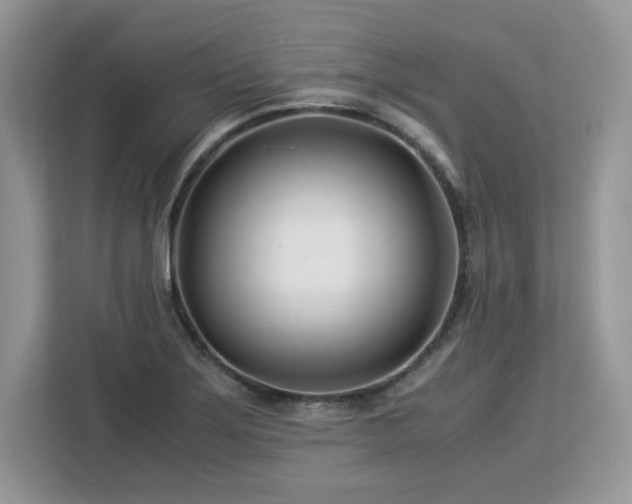 X0000113091275200908281236