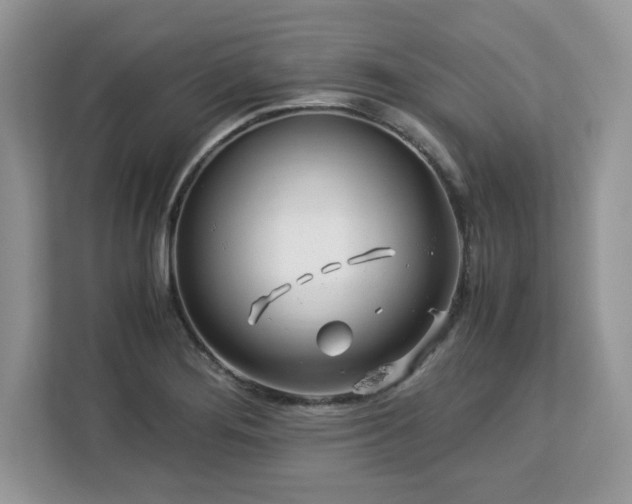 X0000113091276200908281236