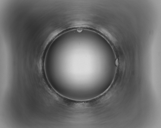 X0000113091277200908281236
