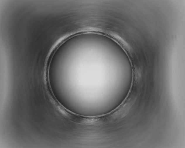 X0000113091278200908281236
