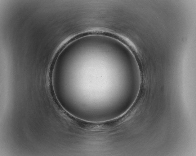 X0000113091279200908281236
