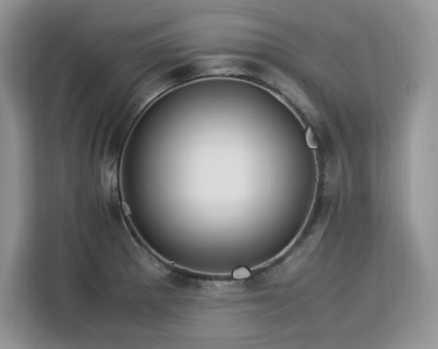 X0000113091281200908281236