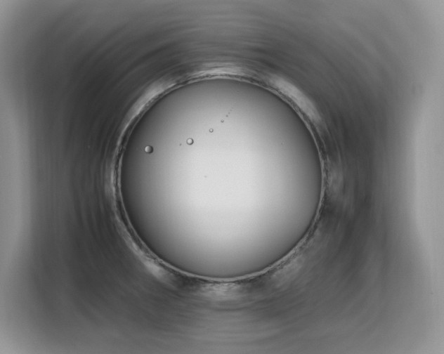 X0000113091282200908281236