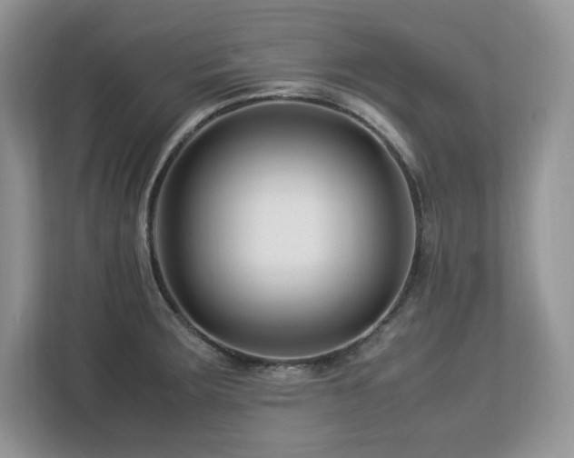 X0000113091283200908281236