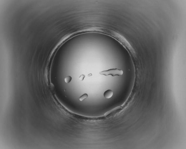 X0000113091284200908281236