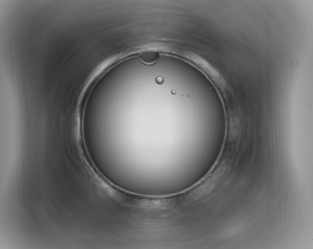 X0000113091286200908281236