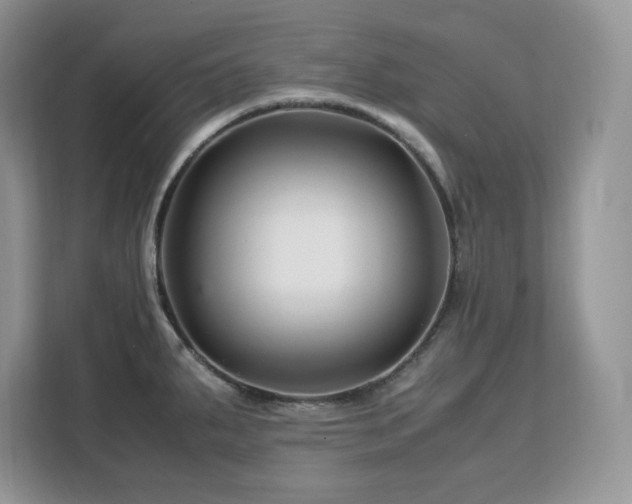 X0000113091287200908281236