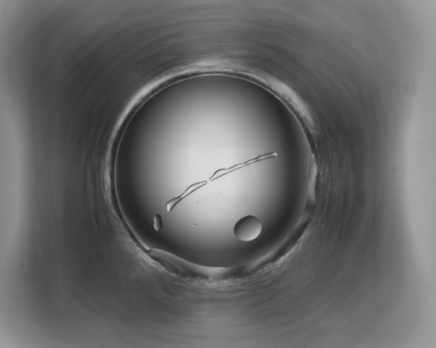 X0000113091288200908281236