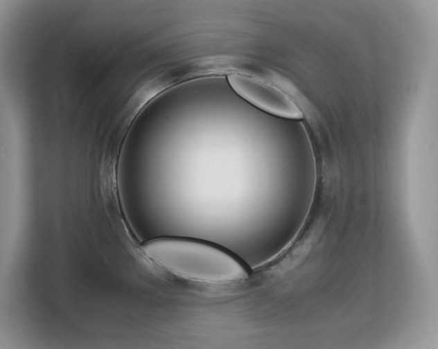 X0000113091289200908281236