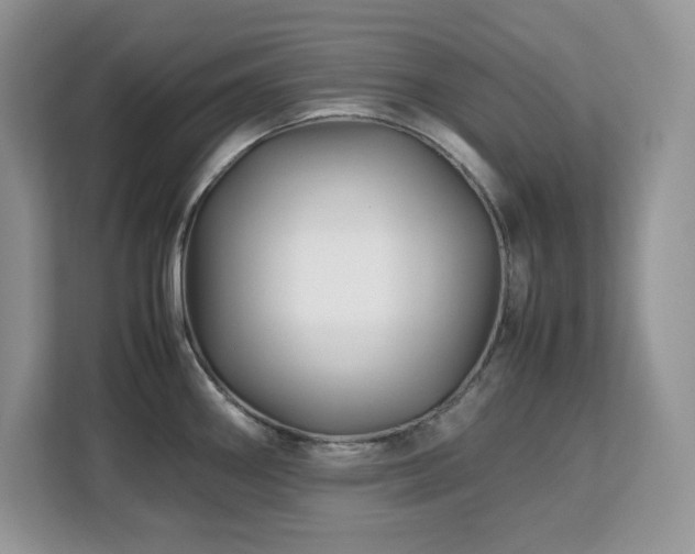 X0000113091290200908281236