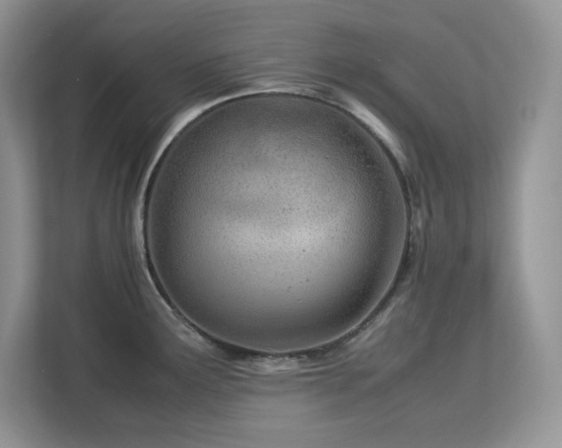 X0000113091291200908281236