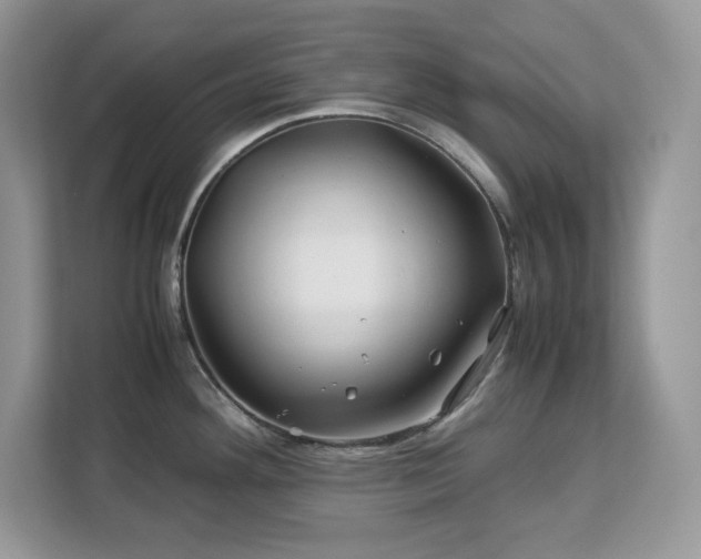 X0000113091292200908281236