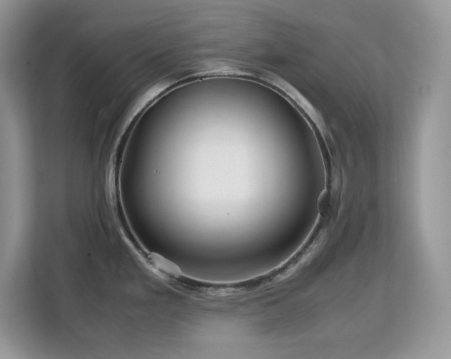 X0000113091293200908281236