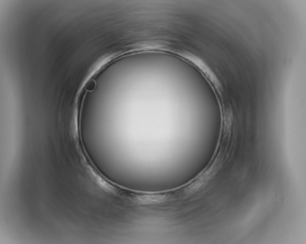 X0000113091294200908281236