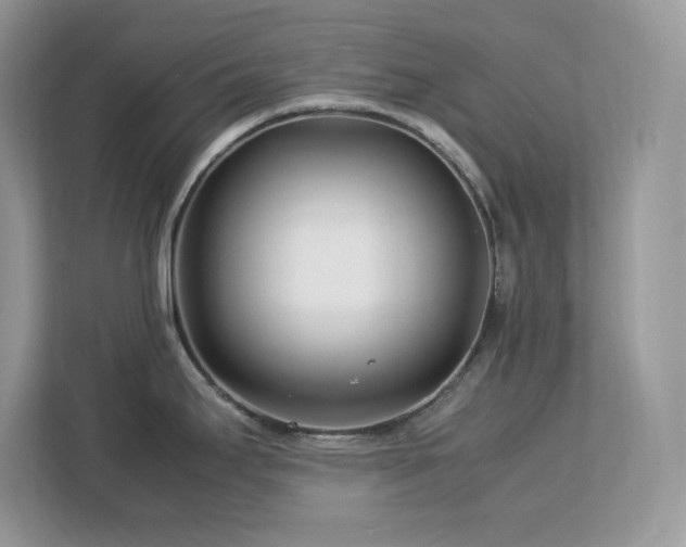 X0000113091295200908281236