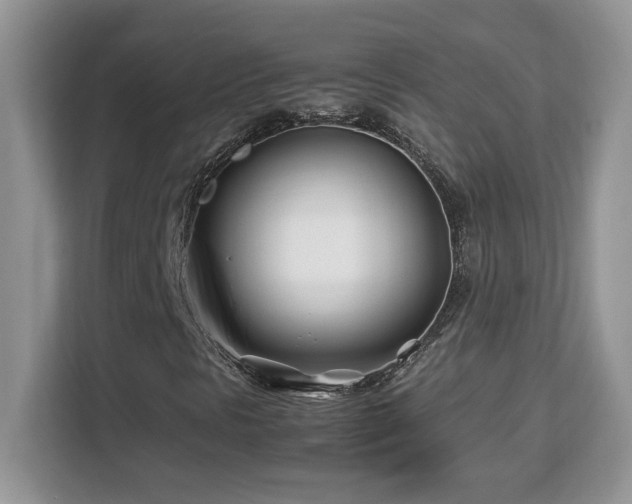 X0000113091297200908281235