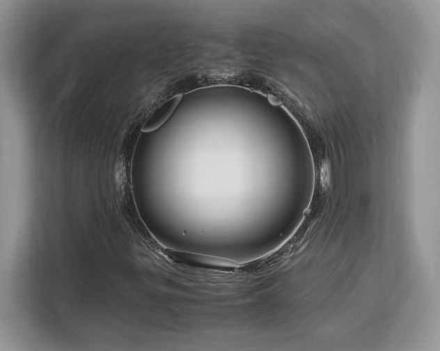 X0000113091299200908281235