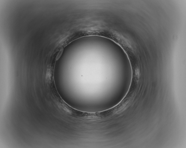X0000113091300200908281235