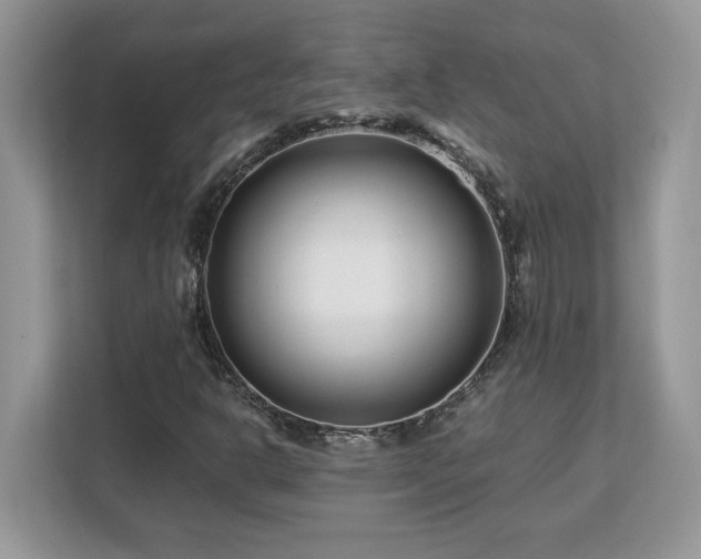 X0000113091302200908281235
