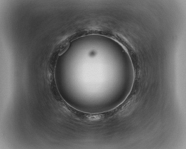 X0000113091303200908281235