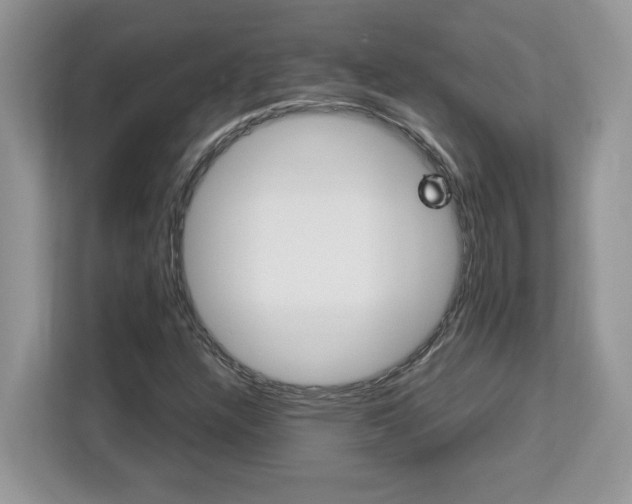 X0000113091304200908281235