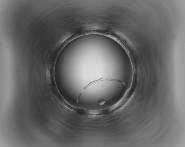 X0000113091305200908281235
