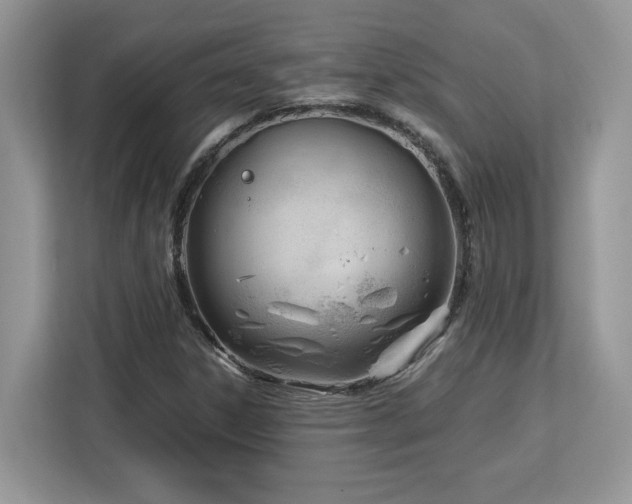 X0000113091306200908281235