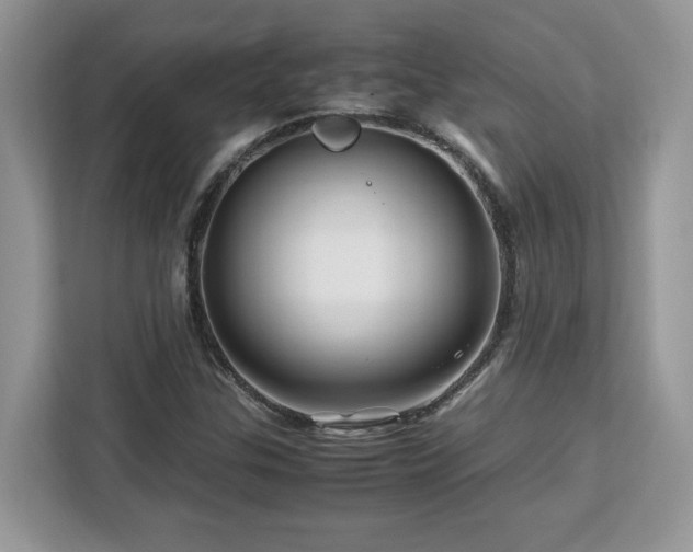 X0000113091307200908281235