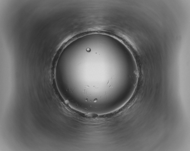 X0000113091308200908281235