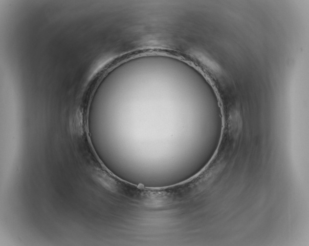 X0000113091310200908281235