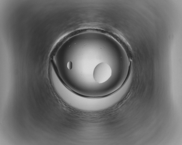 X0000113091312200908281235