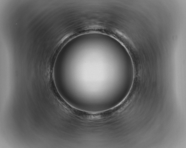 X0000113091313200908281235